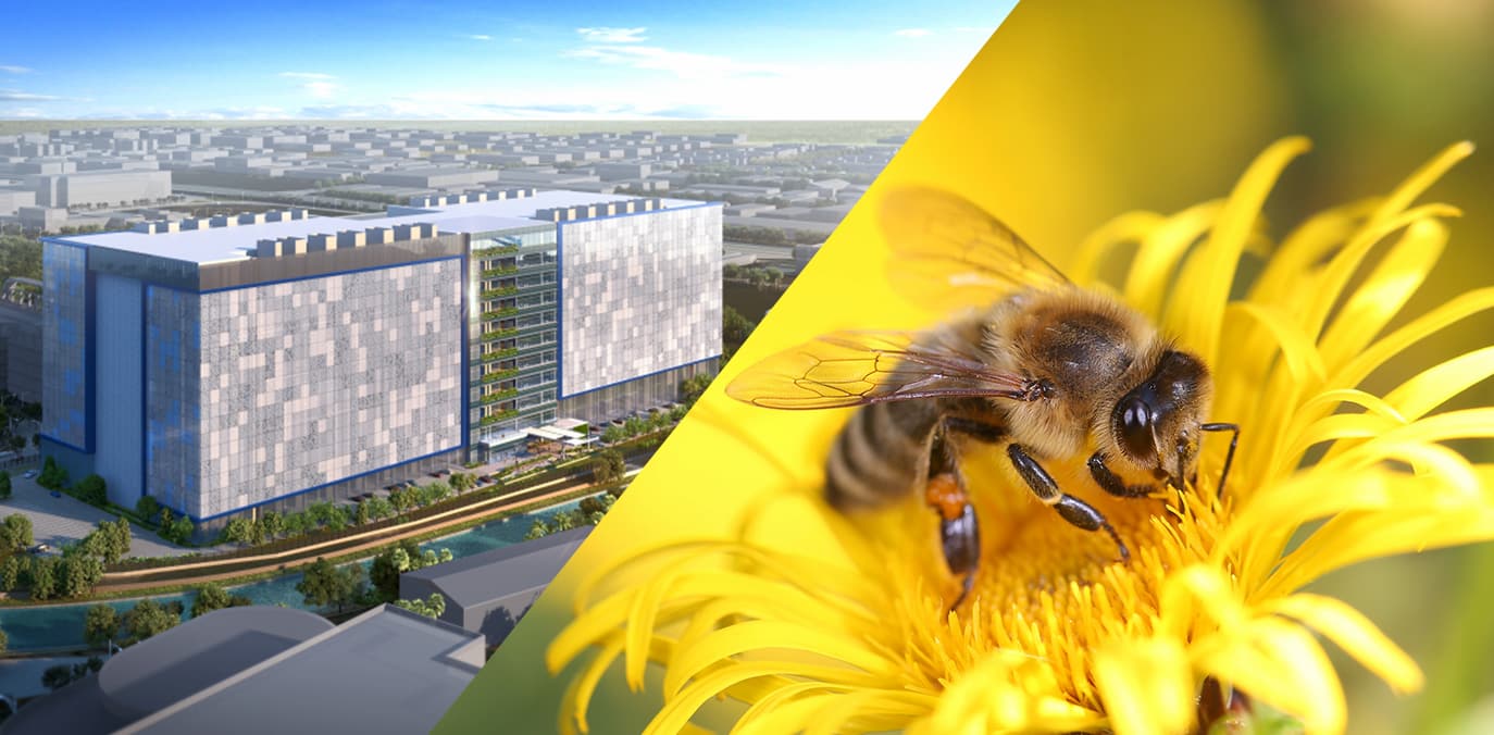 메타 최초의 원전 기반 AI 데이터센터 좌초 위기…“원인은 꿀벌?” | 그리니엄